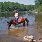 Cheval dans un lac dans la Montagne Noire