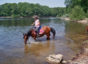 Cheval dans un lac dans la Montagne Noire