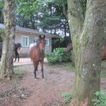 Gîte à Arfons Montagne Noire