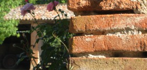 Gîte dans centre équestre proche de Toulouse