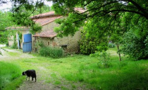 Gîte de centre équestre Toulouse