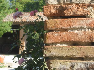 Gîte équestre proche de Toulouse