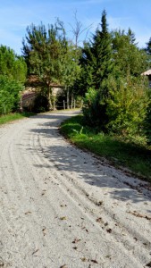 Gîte équestre avec vue sur les chevaux