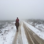 Randonnée à cheval dans la Montagne Noire en hiver