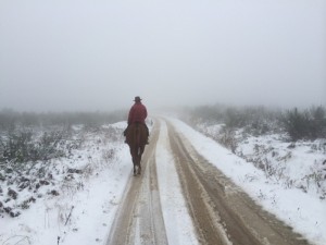 Randonnée à cheval dans la Montagne Noire en hiver