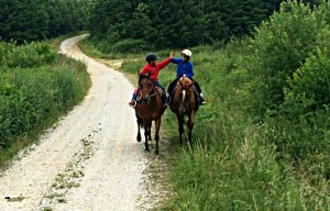 Randonnées à cheval dans la Montagne Noire