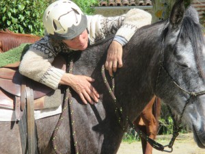 Débourrage du cheval en douceur