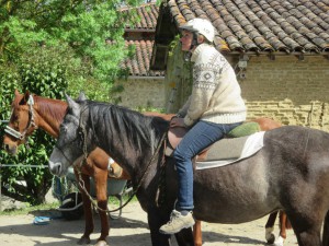 Droit sur la selle débourrage du cheval