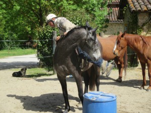 Monter en selle débourrage du cheval