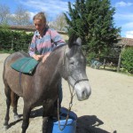 Préparation débourrage du cheval en douceur