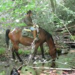 Randonnée à cheval en Montagne Noire